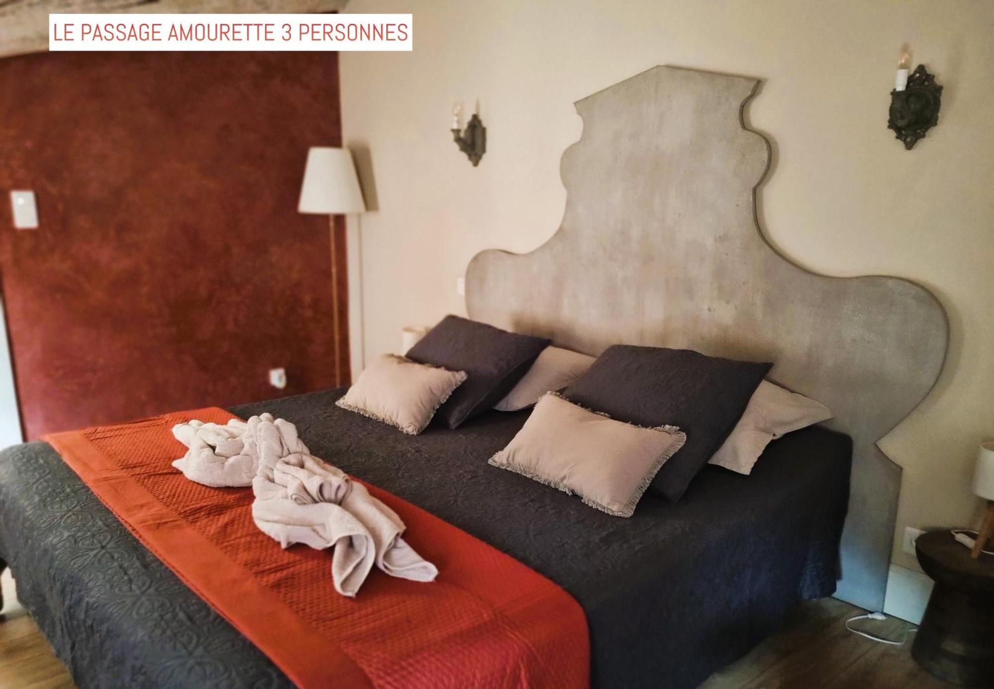 Bed and Breakfast Le Passage Carcassonne Zewnętrze zdjęcie