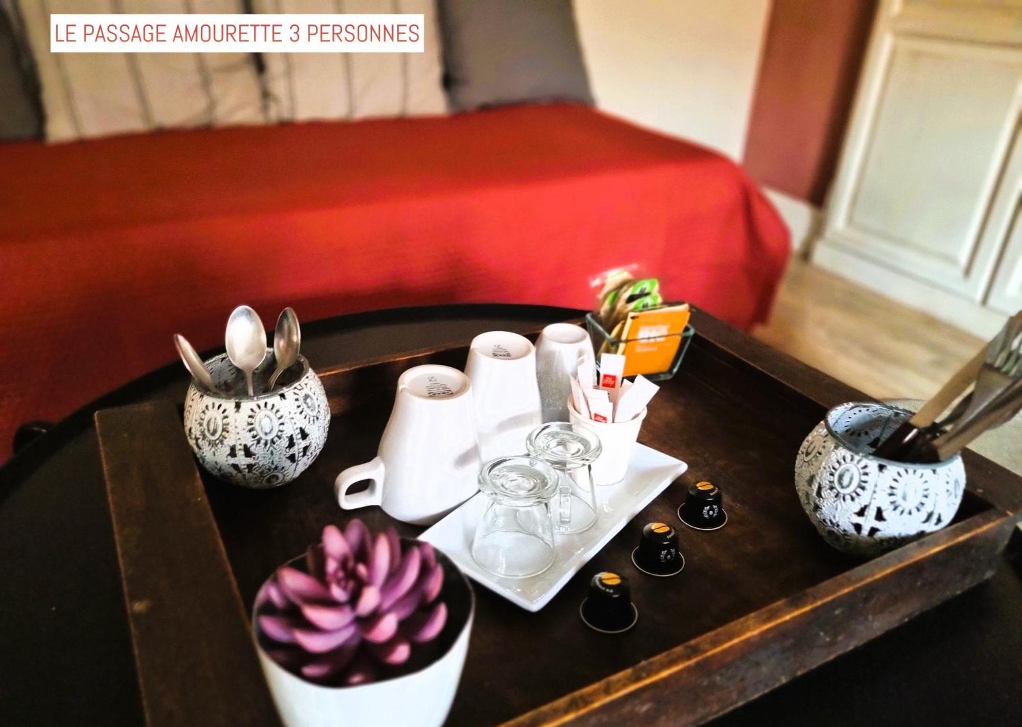 Bed and Breakfast Le Passage Carcassonne Zewnętrze zdjęcie
