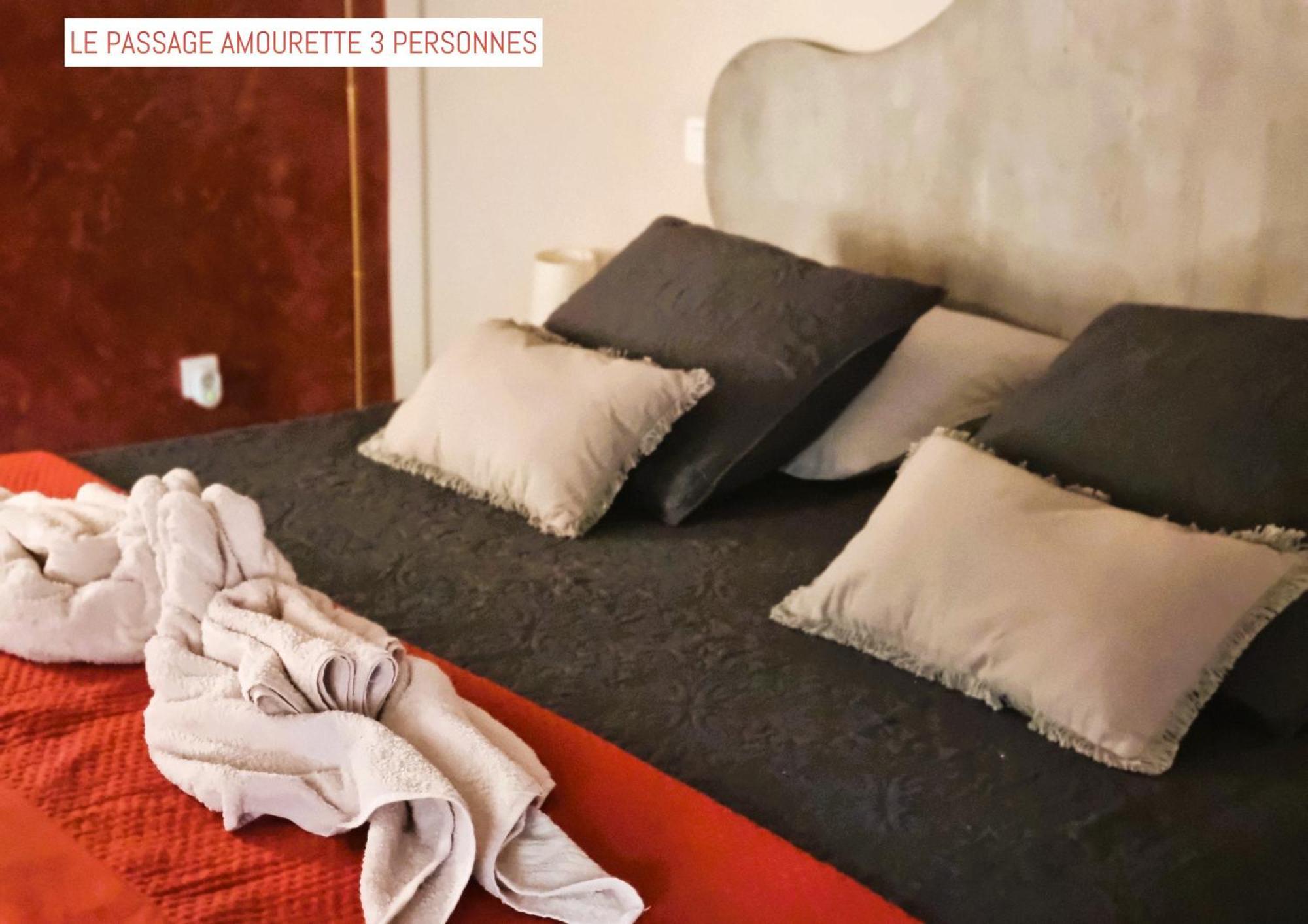 Bed and Breakfast Le Passage Carcassonne Zewnętrze zdjęcie