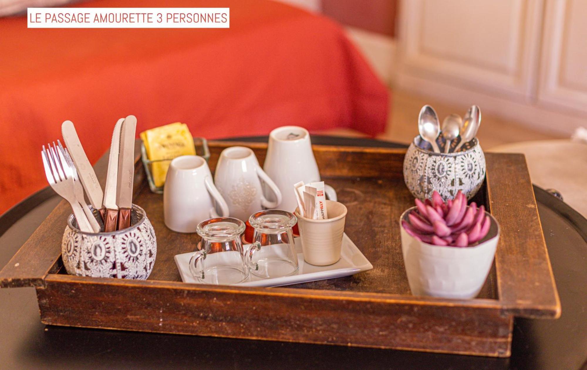 Bed and Breakfast Le Passage Carcassonne Zewnętrze zdjęcie